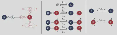 An encoding of Kappa rules for biochemical reaction systems in terms of rewriting theory rules (left), an example biochemical reaction system in Kappa syntax (middle) and an example of _observables_ expressed as Kappa rules (right).